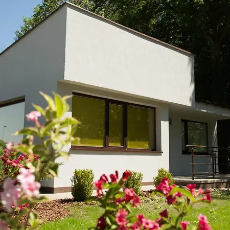 Oaza Blonie Standard - 3 كورنيك