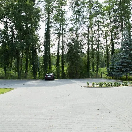 بيت خشبي Oaza Blonie Standard - 3