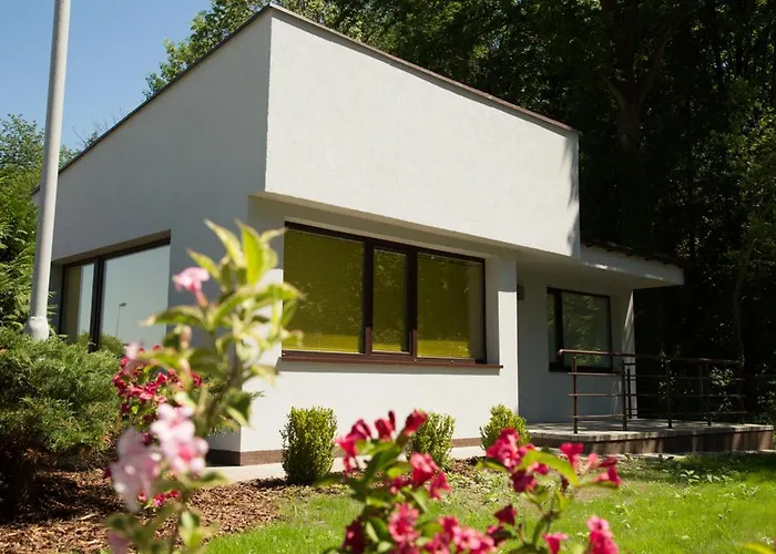 Oaza Blonie Standard - 3 Курник