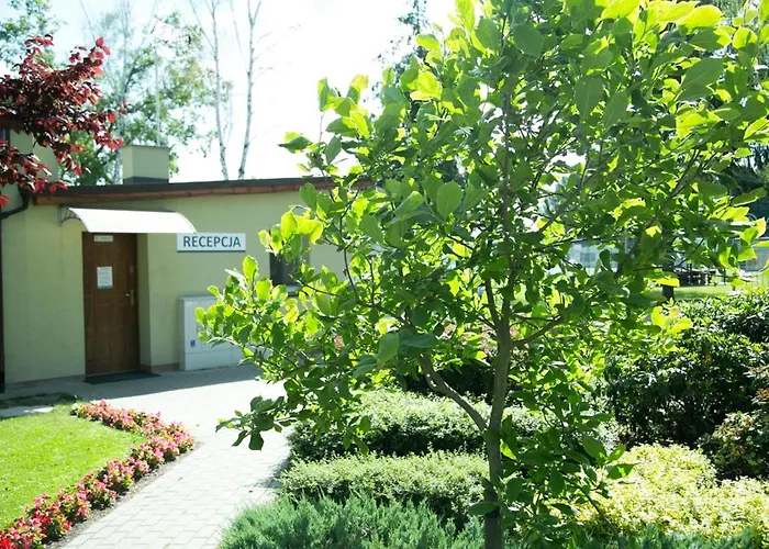 Oaza Blonie Standard - 3 Деревянный коттедж Курник