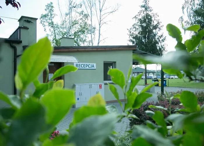 Oaza Blonie Standard - 3 Деревянный коттедж