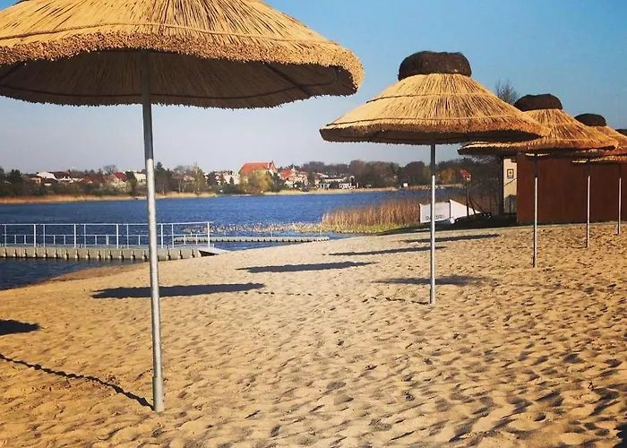 Oaza Blonie Standard - 3 Деревянный коттедж