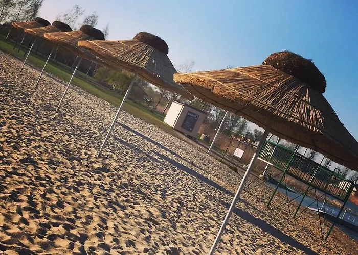 Oaza Blonie Standard - 3 Деревянный коттедж Курник