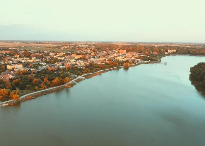 Oaza Blonie Standard - 3 Деревянный коттедж Курник