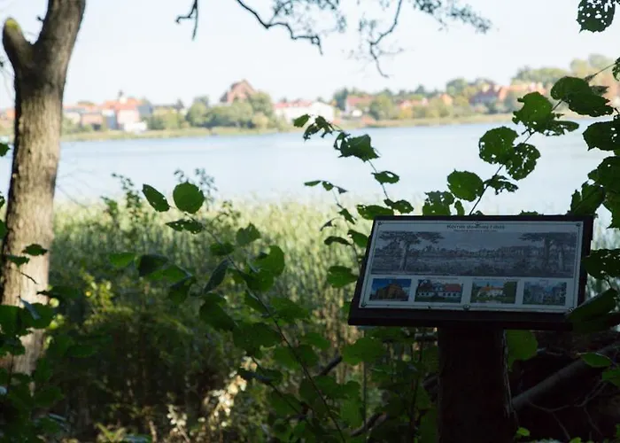 Oaza Blonie Standard - 3 Деревянный коттедж *