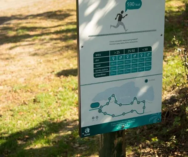 Oaza Blonie Standard - 3 * Курник